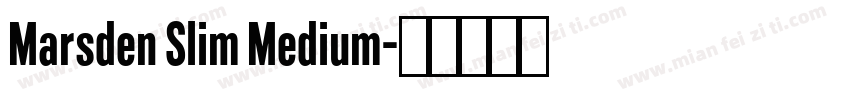 Marsden Slim Medium字体转换